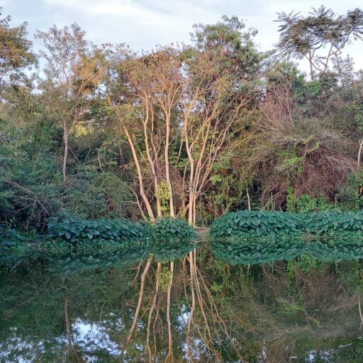 Batismo do Espírito Santo